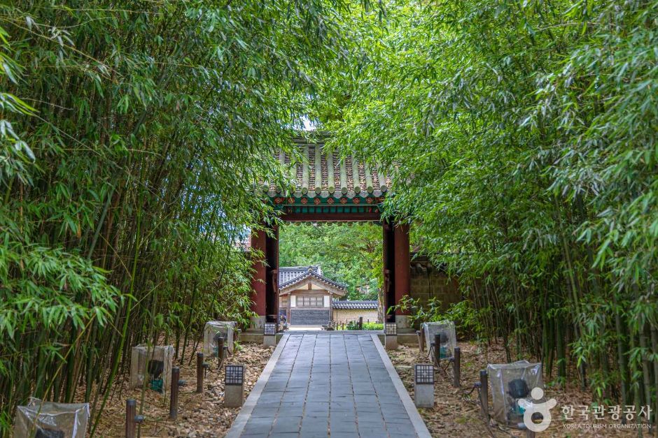 대숲 사이로 보이는 전주 경기전 문과 한옥